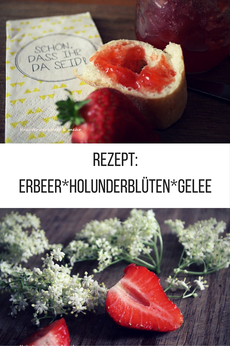 Rezept Holunder-Erdbeer-Gelee - Kräuter­werkstatt &amp; mehr